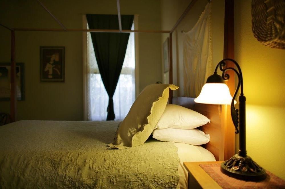 Yellow Rose Bed & Breakfast 圣安东尼奥 外观 照片